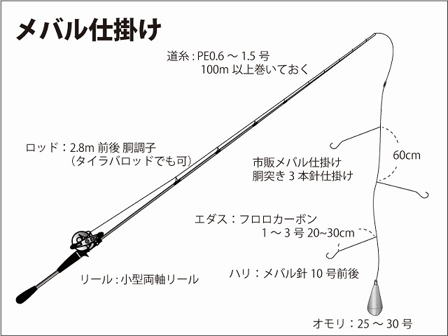 ご利用案内 幸龍丸